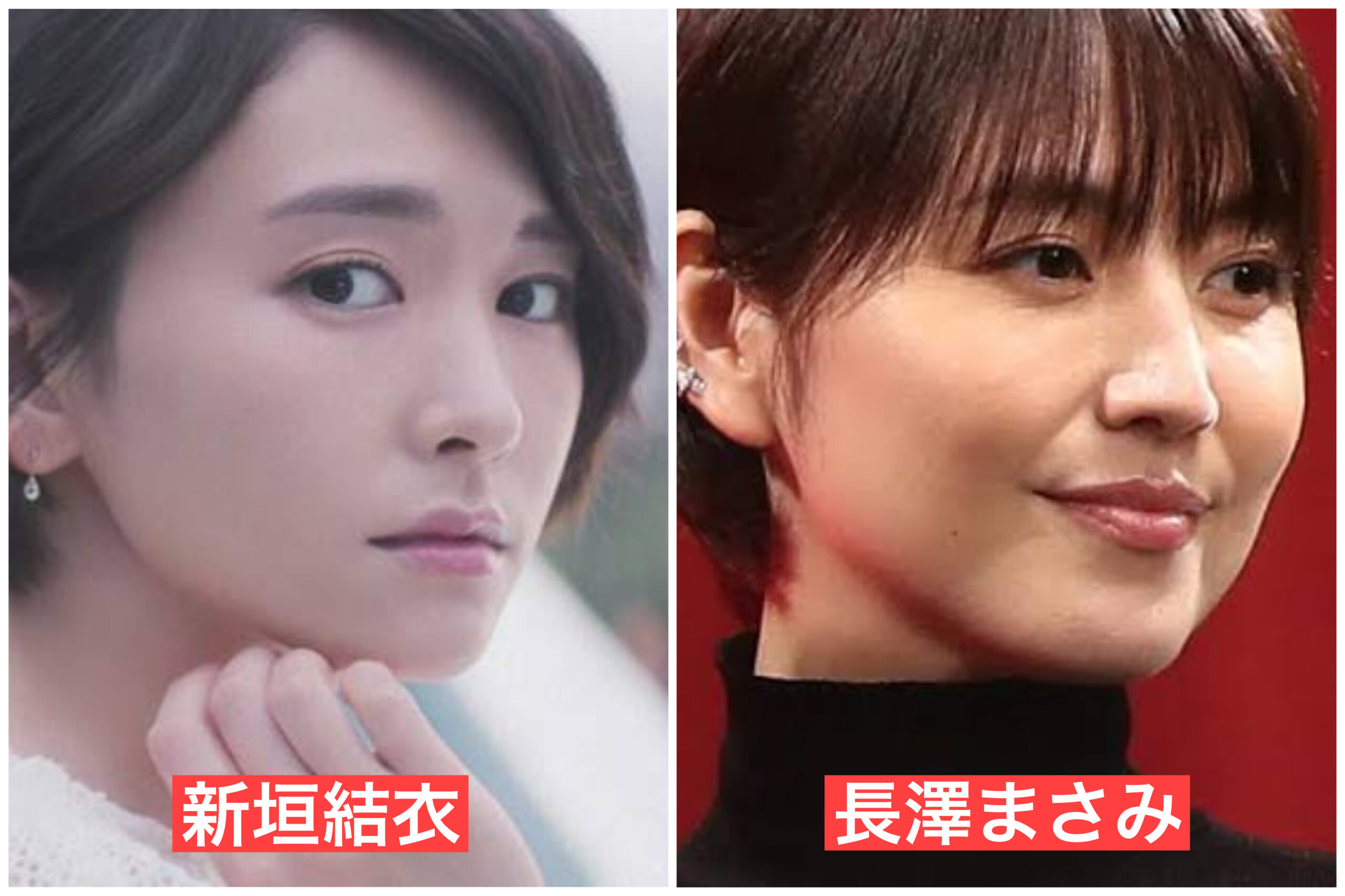 【比較画像】新垣結衣に似てる芸能人は11人！桐谷美玲や波瑠！中国の女子大生が話題